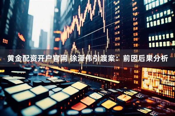 黄金配资开户官网 徐泽伟引渡案：前因后果分析